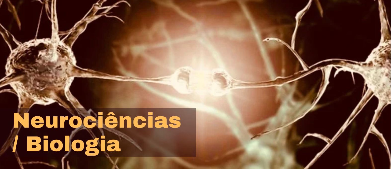 Neurociências e Psicologia